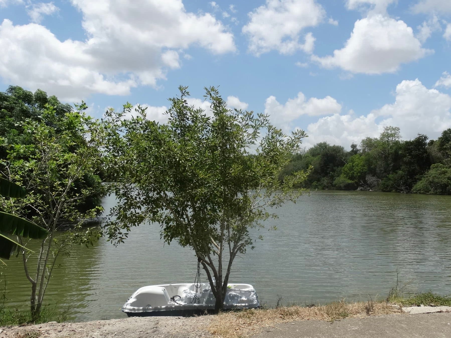 Calm lake and tree-lined shore at Rod N' Reel RV Court
